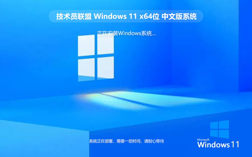 Windows11最新娛樂版 技術員聯(lián)盟x64位下載 免激活工具 官網鏡像下載