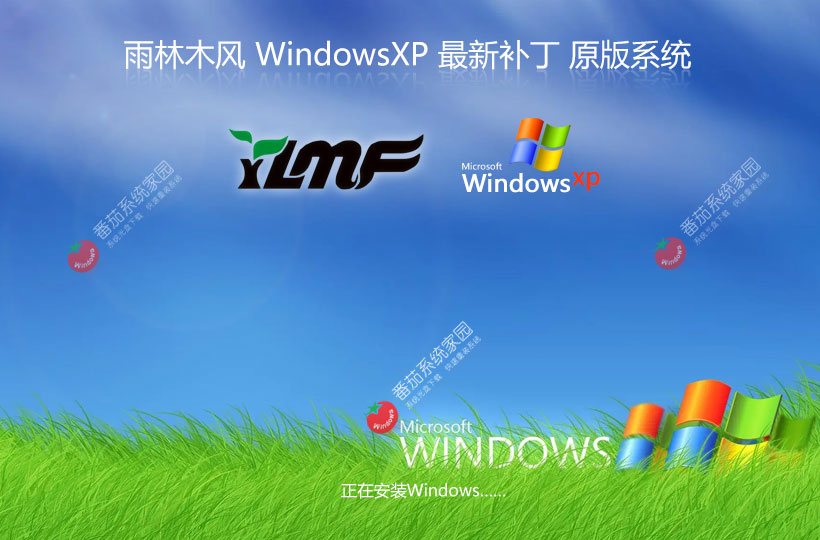 WinXP游戲?qū)Ｓ孟到y(tǒng)下載 雨林木風(fēng)x86高效版 ghost系統(tǒng)下載 聯(lián)想電腦專(zhuān)用
