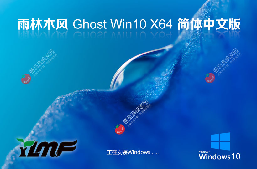 雨林木風(fēng)x64位精簡(jiǎn)版 Windows10純凈版下載 ghost鏡像 筆記本專(zhuān)用下載
