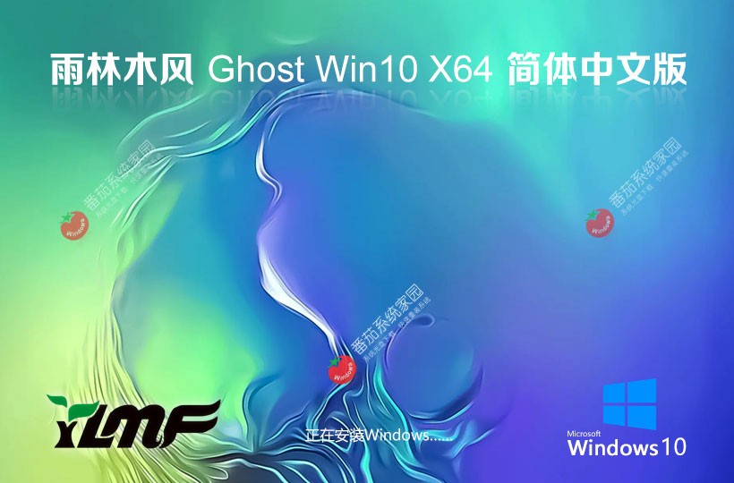 雨林木風(fēng)x64位企業(yè)版 ghost系統(tǒng)下載 戴爾筆記本專(zhuān)用 win10技術(shù)流暢版下載