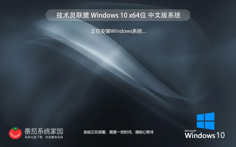 Windows10家庭版下載 技術(shù)員聯(lián)盟 x64位永久免費下載 ghost ISO鏡像下載