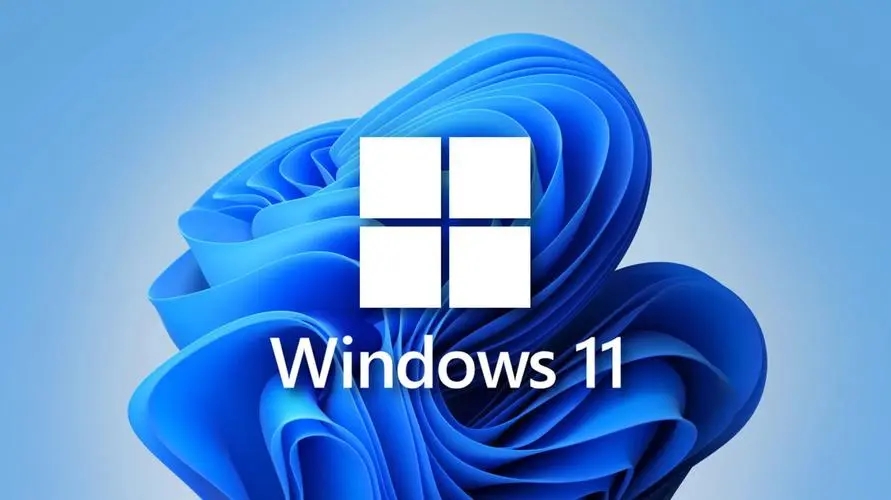 win11文件夹选项在哪里 win11文件所在位置介绍