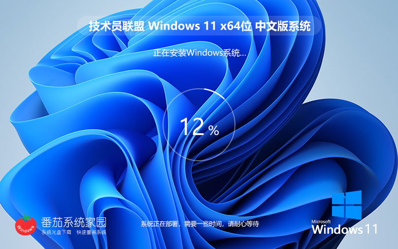 win11超級通用版下載 技術(shù)員聯(lián)盟64位企業(yè)版 官網(wǎng)鏡像下載 永久激活