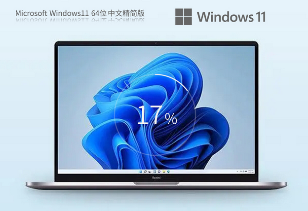 深度技術 Win11 22H2 x64位 中文精簡專業(yè)版 V2023 