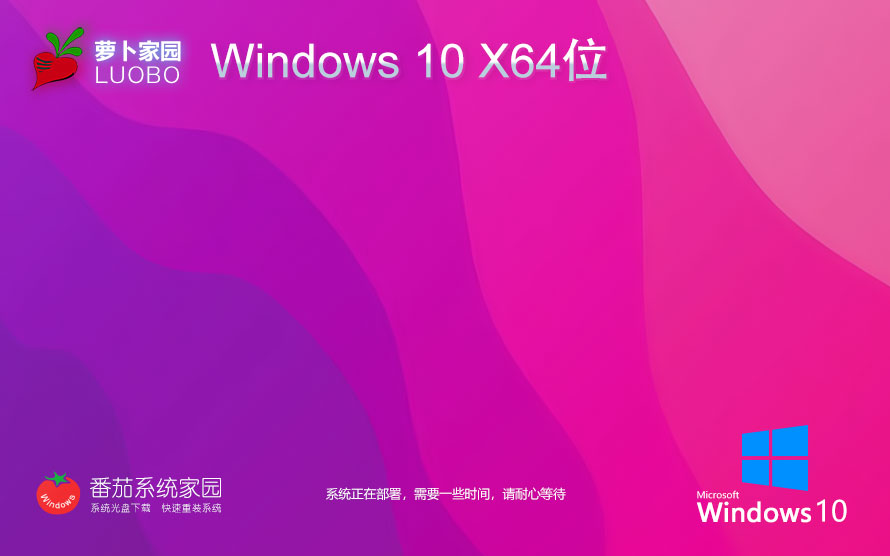 【巔峰性能，為專業(yè)而生】Windows10 22H2 64位 專業(yè)工作站版