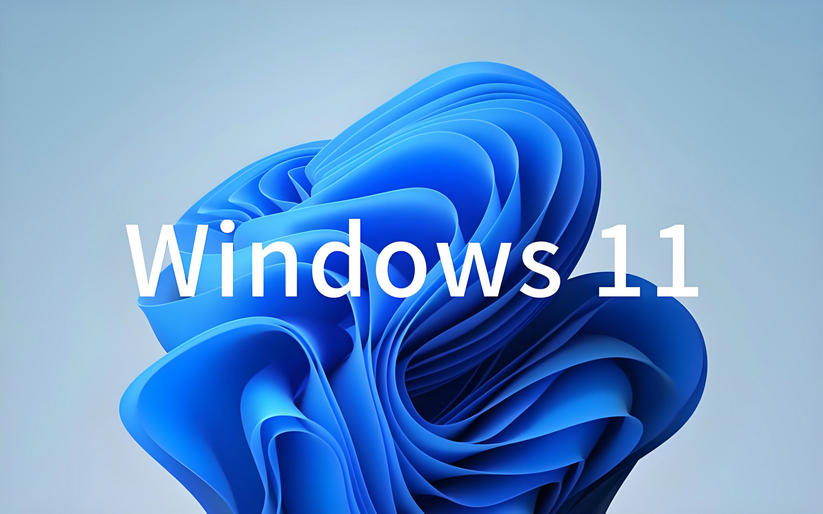 Windows11 23H2 64位 專業(yè)穩(wěn)定裝機(jī)版