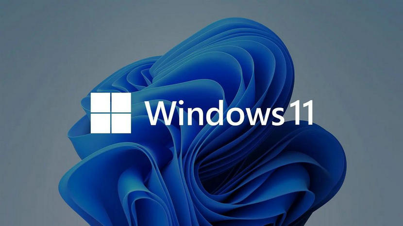不忘初心Windows11純凈精簡(jiǎn)版
