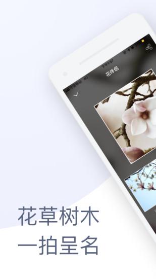 花伴侶拍照識別花軟件