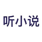 聽小說(shuō)