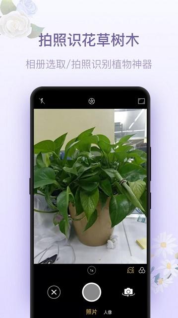 拍照識(shí)花神器