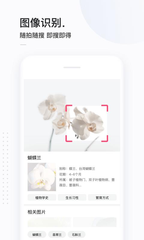 簡(jiǎn)單搜索