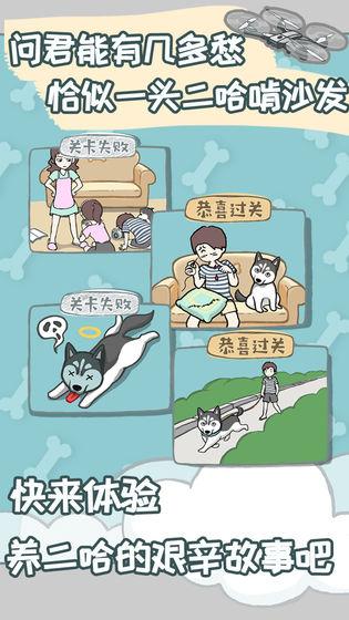 養(yǎng)只二哈不容易v1.0.0